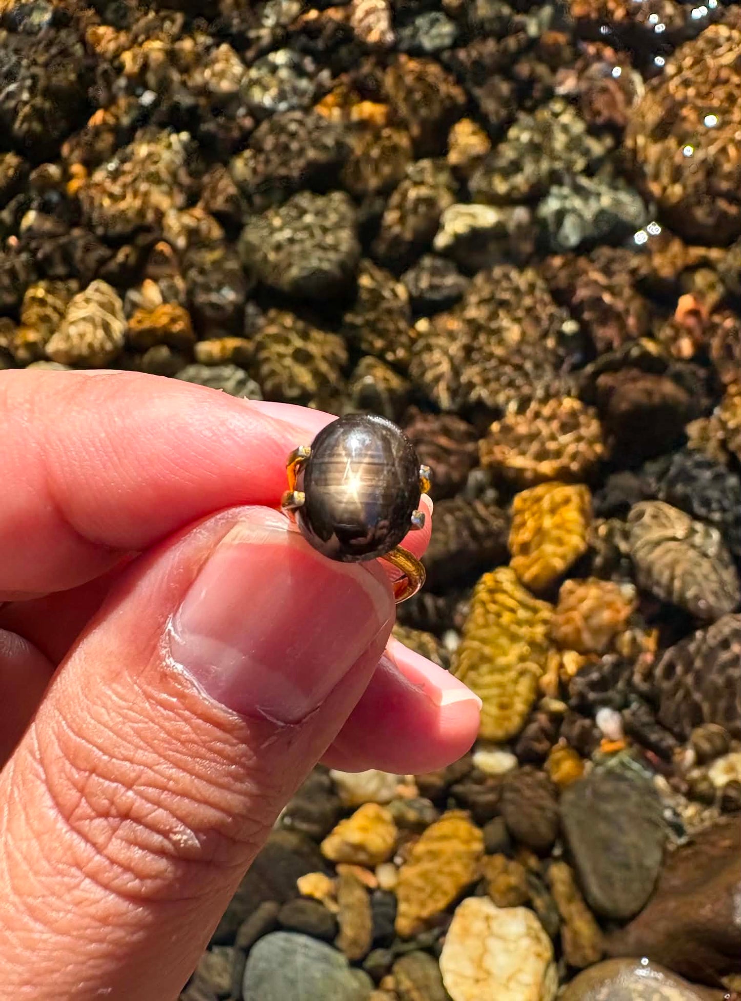 Australian Gold Star Sapphire Gemstone N19