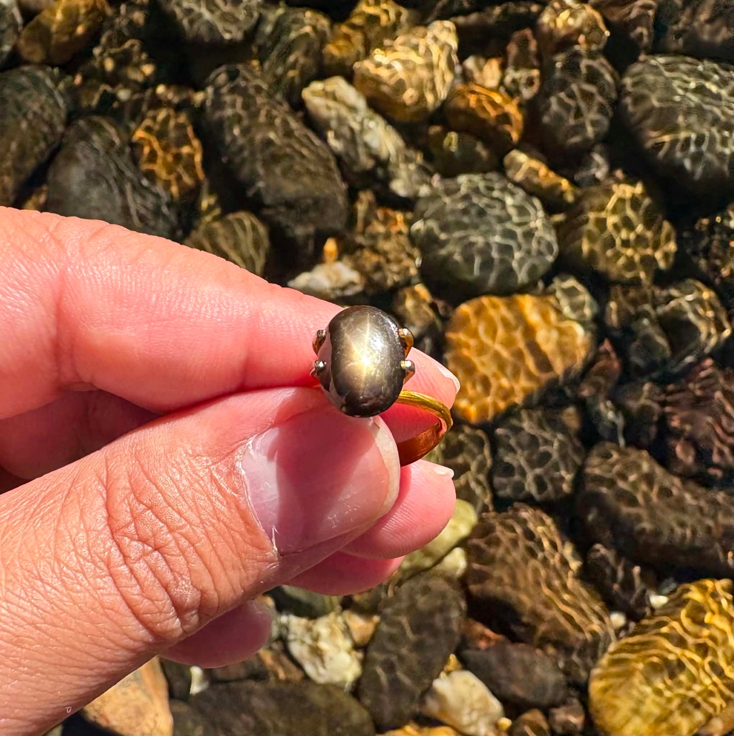 Australian Gold Star Black Sapphire Gemstone N14