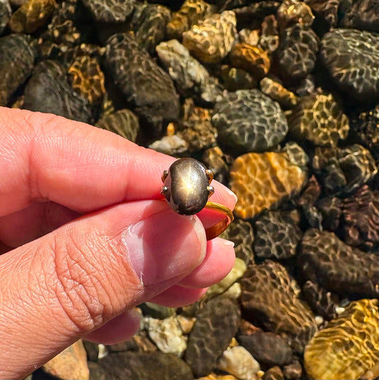 Australian Gold Star Black Sapphire Gemstone N14