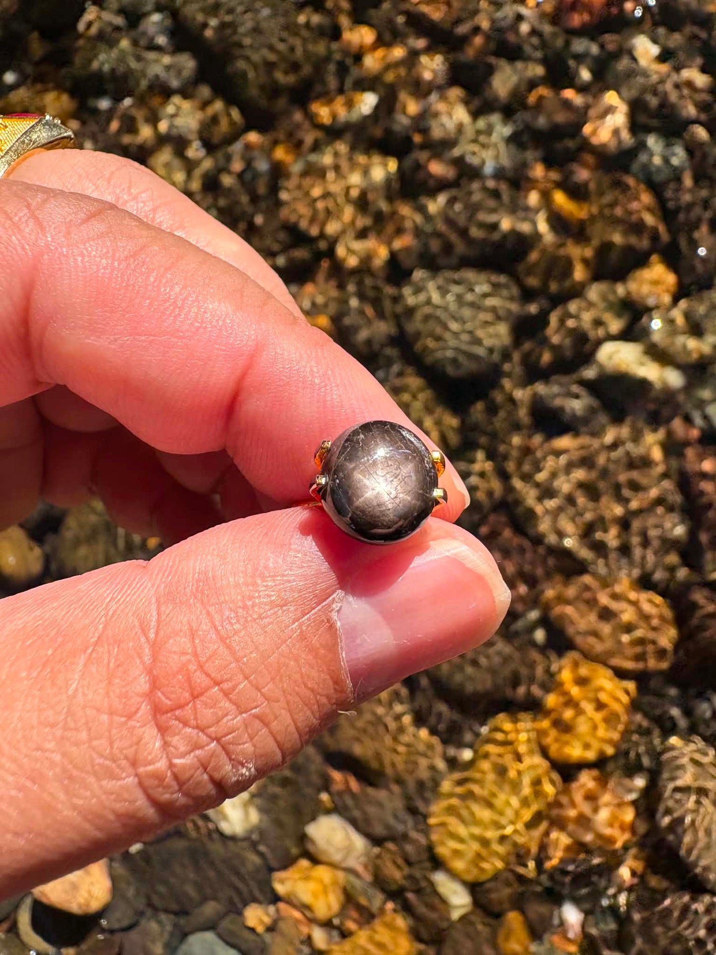 Double Sided Star Sapphire Gemstone N13