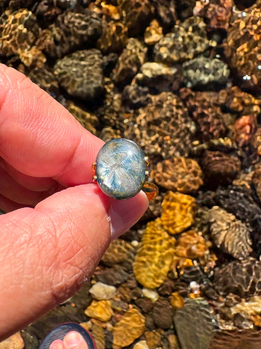Australian Trapiche Sapphire Gemstone N15
