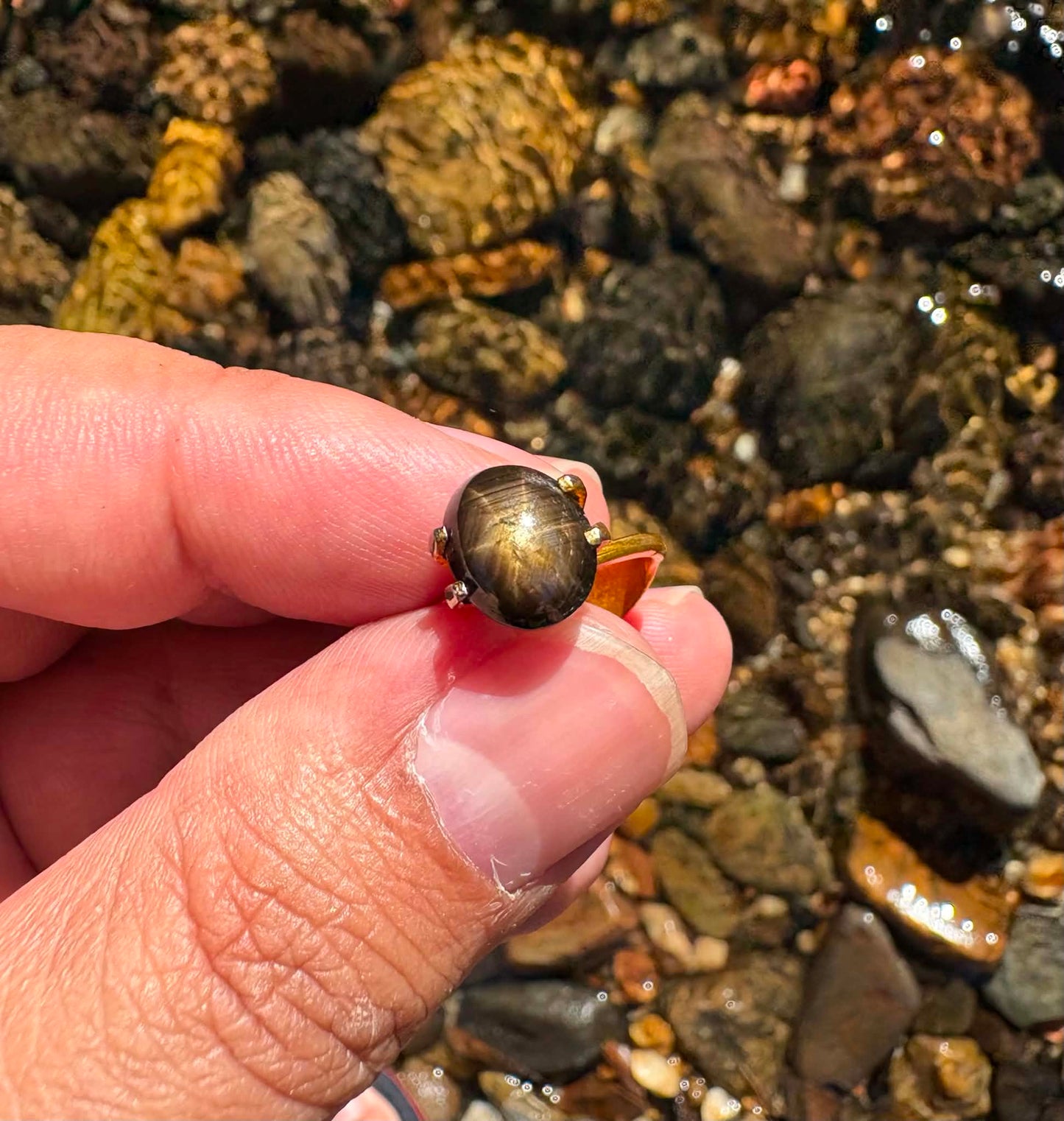 Australian Gold Star Sapphire Gemstone N23