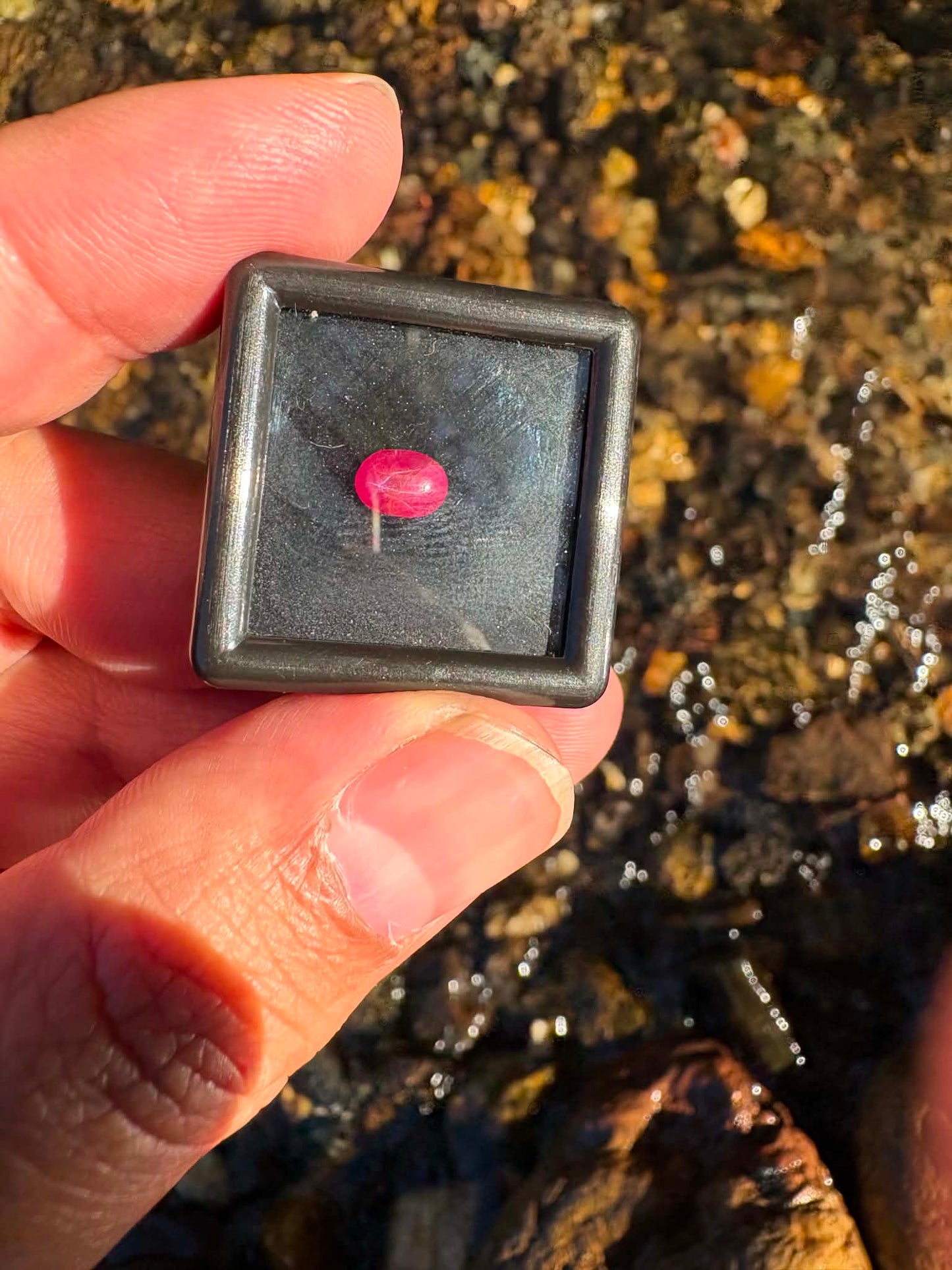 Star Ruby Gemstone N28
