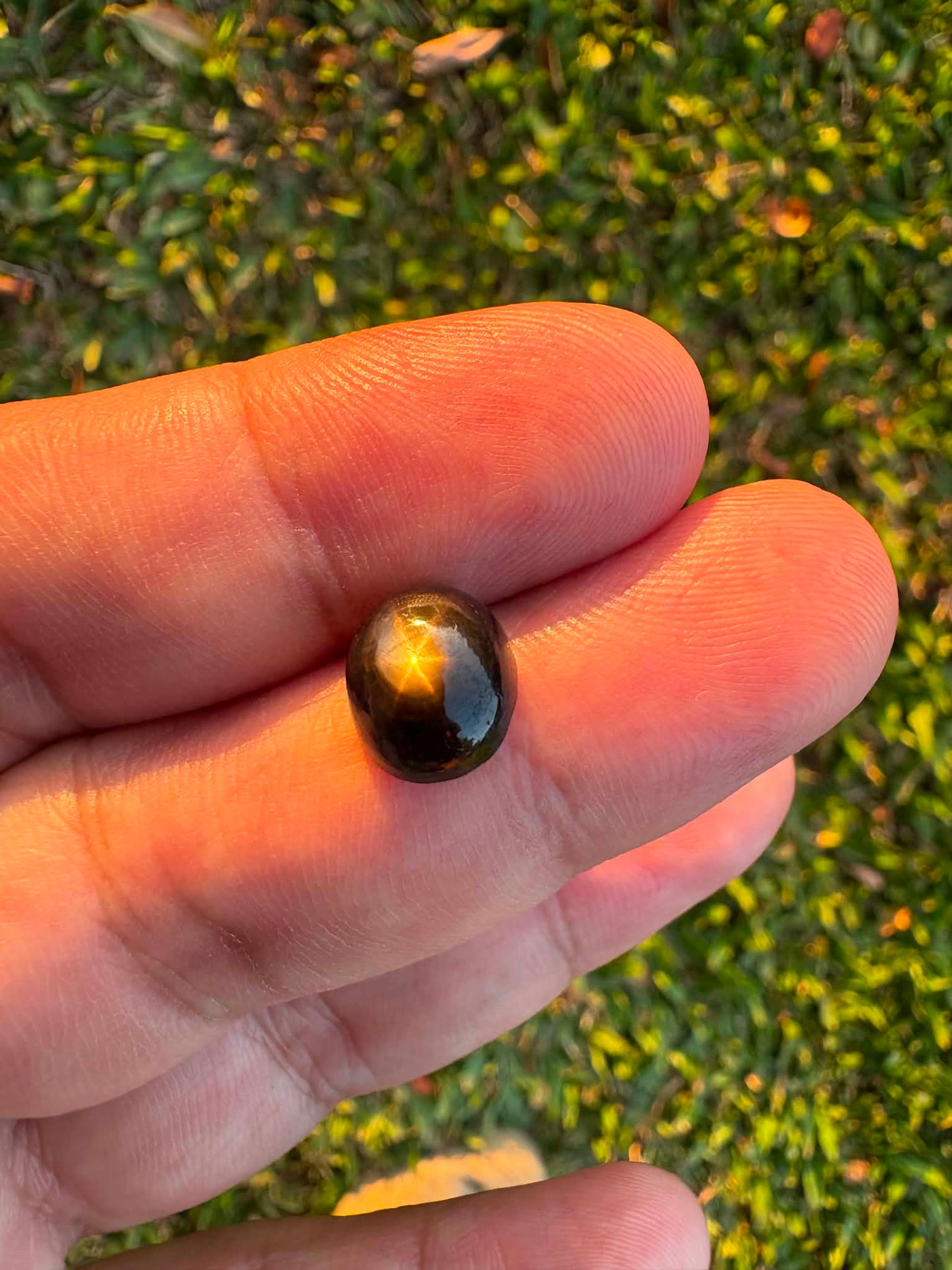 Australian Black Star Sapphire Gemstone N34