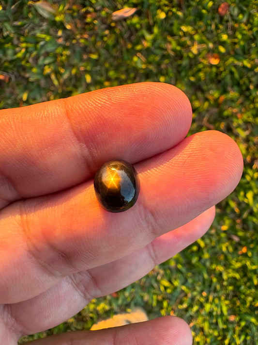 Australian Black Star Sapphire Gemstone N36