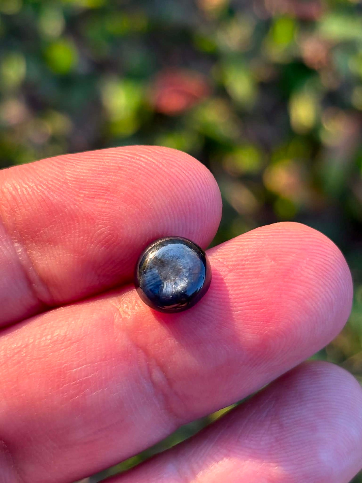 Australian Trapiche Sapphire Gemstone N32