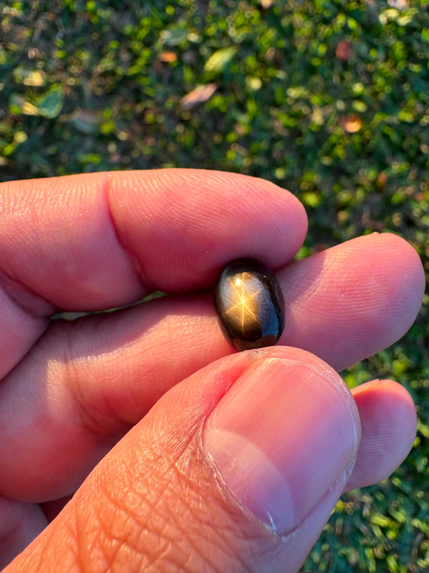 Australian Black Star Sapphire Gemstone N33