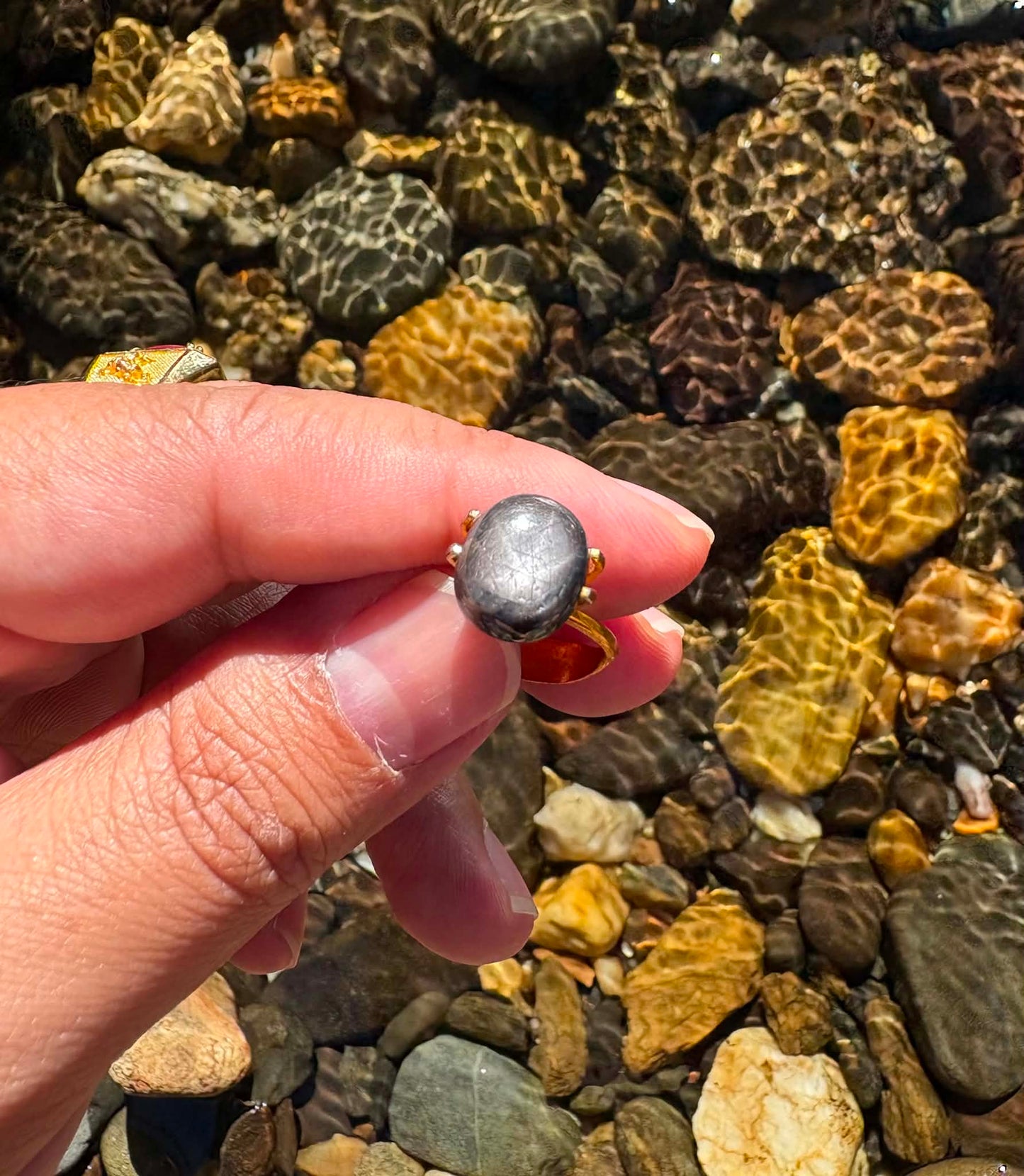 Black Star Sapphire Gemstone N22