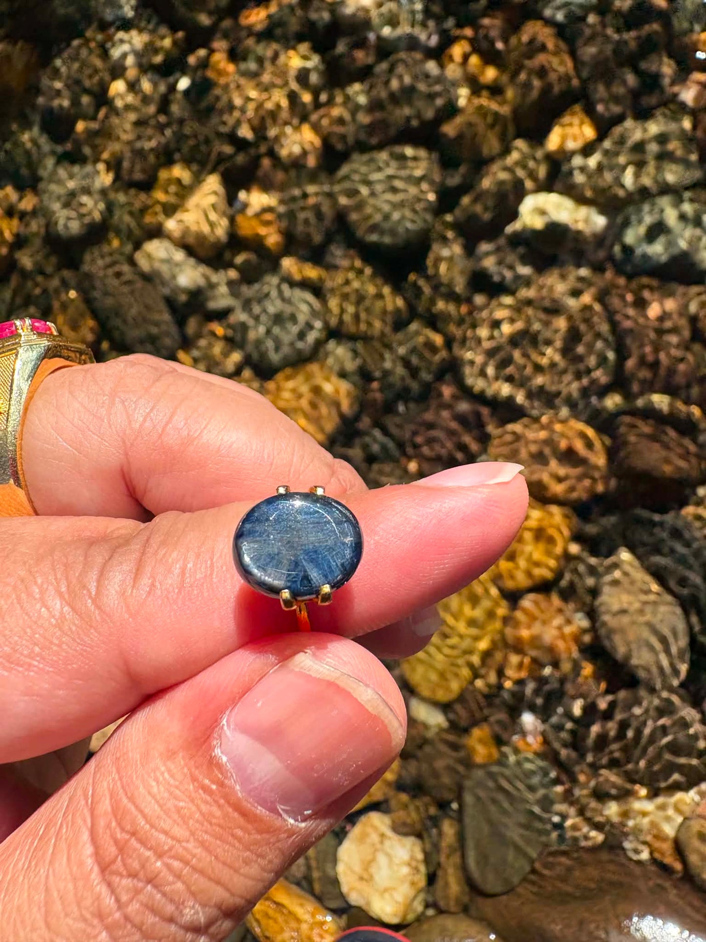 Australian Trapiche Sapphire Gemstone N16